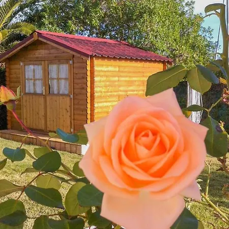 Casa Do 别墅